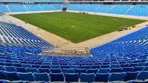 大坂直美舍弃美籍，投身日本奥运阵容