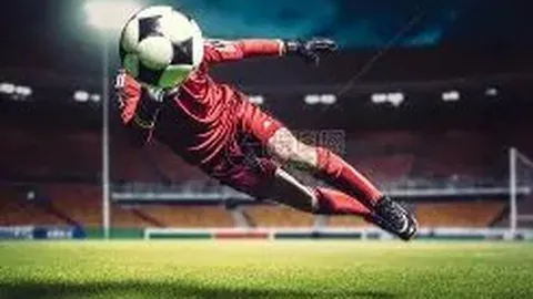 奥运女子篮球队资格赛名单揭晓 11月27日进行抽签