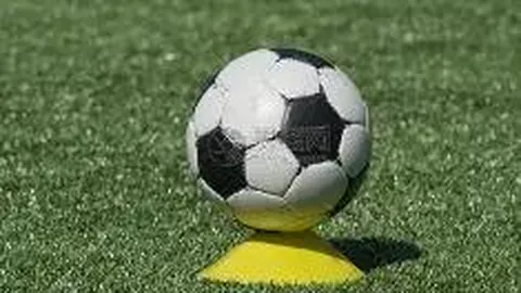 巅峰国际娱乐 产品 105850 2sp